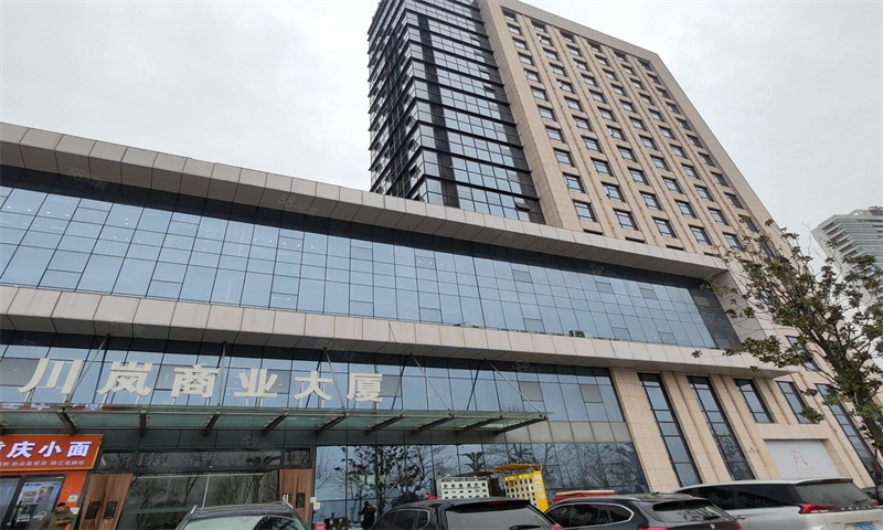 ​武汉市洪山区川岚商业大厦盛大开幕，引领商务新潮流