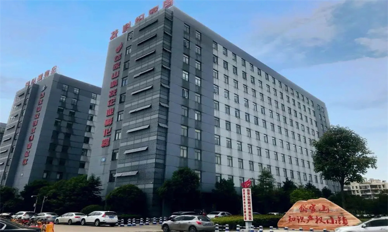  江岸区岱家山科技创业园：创新高地，引领区域经济发展