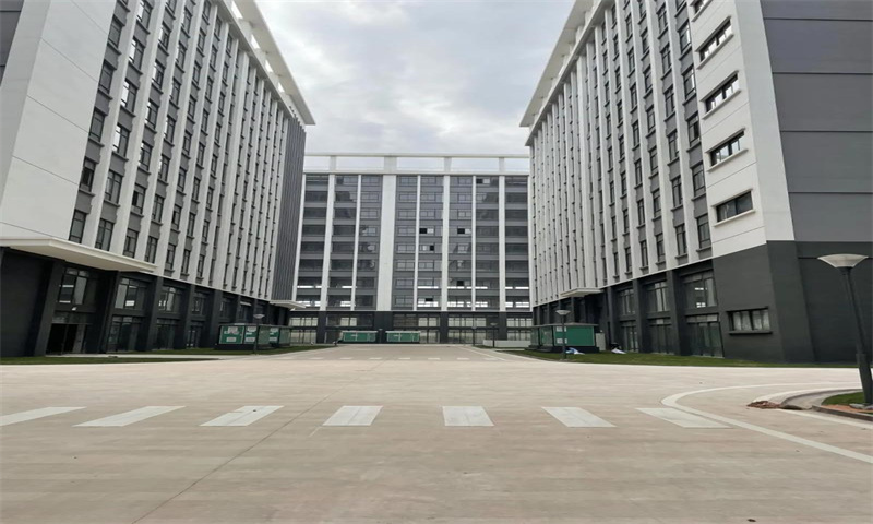 办公室绿植摆放攻略，提升办公环境品质